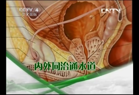 byb.cn byb.cn