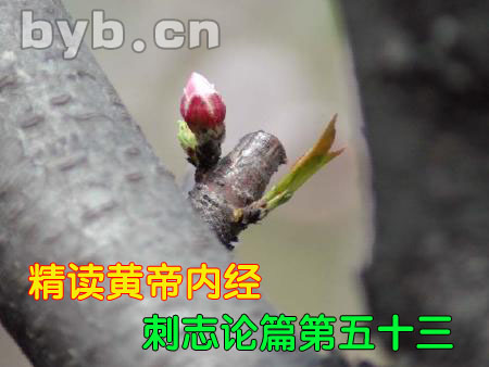 byb.cn 刺志論篇第五十三