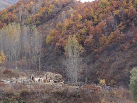byb.cn byb.cn