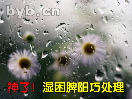 byb.cn 濕困脾陽