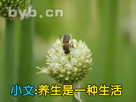 byb.cn byb.cn