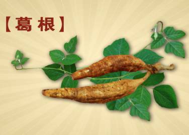 byb.cn byb.cn