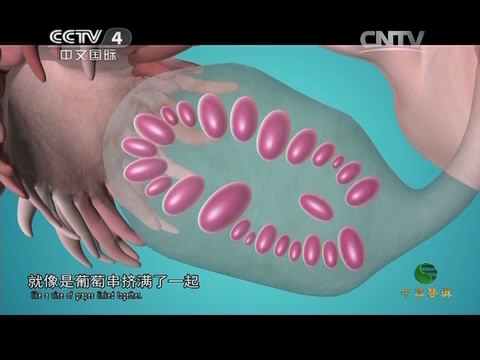 byb.cn byb.cn