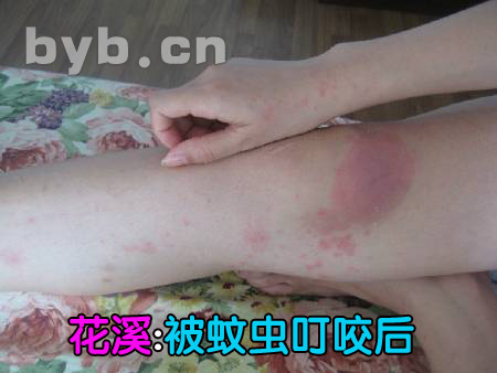 byb.cn byb.cn