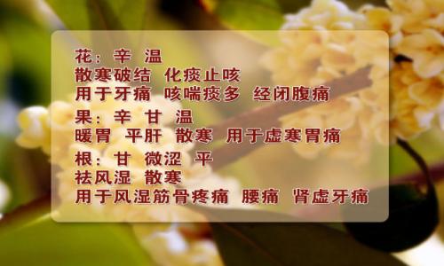 byb.cn byb.cn