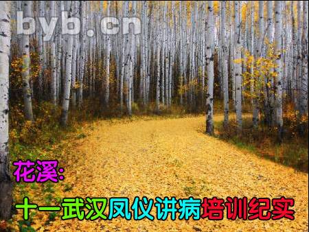 byb.cn byb.cn