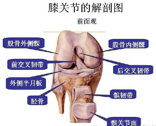 byb.cn byb.cn