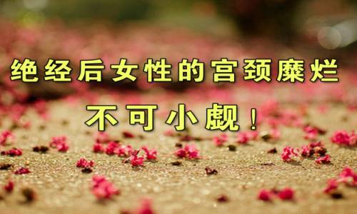 byb.cn byb.cn