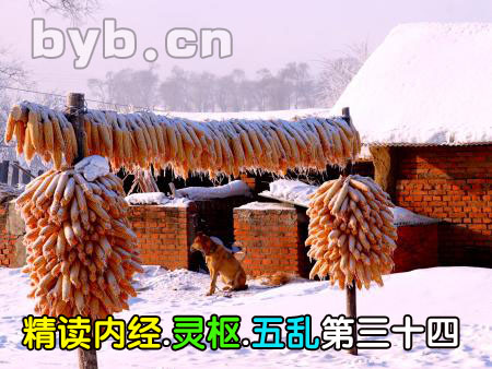 byb.cn byb.cn