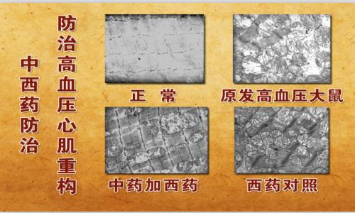 byb.cn byb.cn