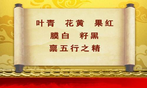 byb.cn byb.cn