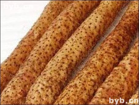 點擊查看山藥的大圖