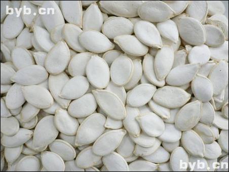 點(diǎn)擊查看白瓜子的大圖