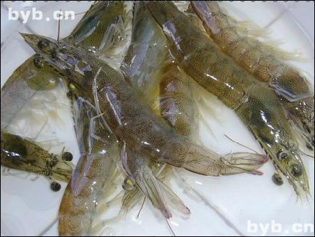 點擊查看基圍蝦的大圖