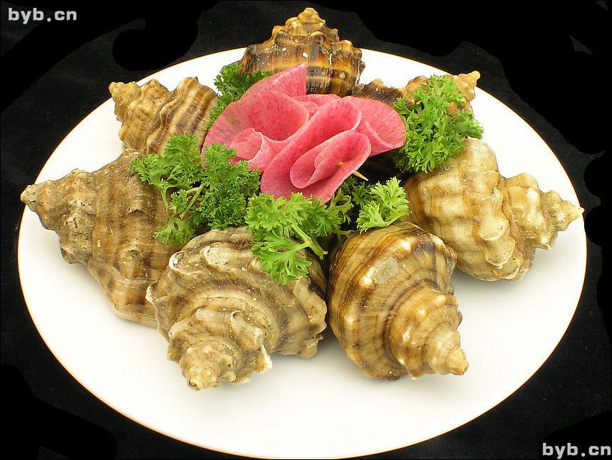 點(diǎn)擊查看海螺的大圖