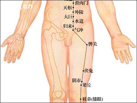 點(diǎn)擊查看伏兔的大圖