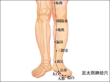 點擊查看太白的大圖