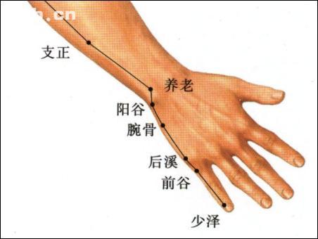 點擊查看支正的大圖