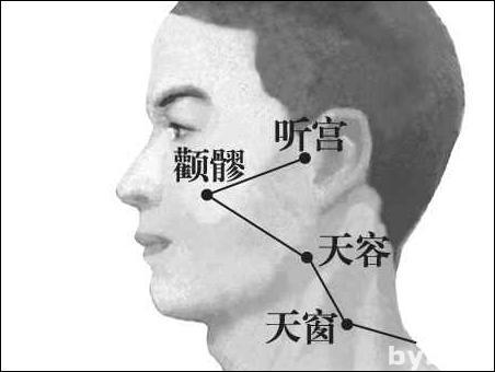 點(diǎn)擊查看顴髎的大圖