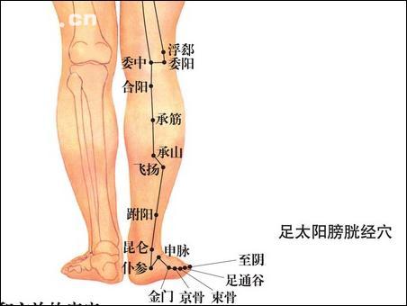點擊查看承山的大圖