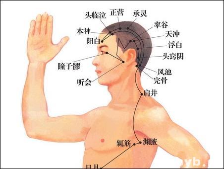 點擊查看聽會的大圖