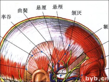 點擊查看懸顱的大圖