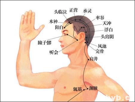 點(diǎn)擊查看完骨的大圖