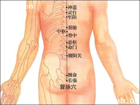 點(diǎn)擊查看腰俞的大圖