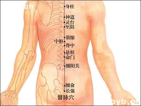 點(diǎn)擊查看中樞的大圖