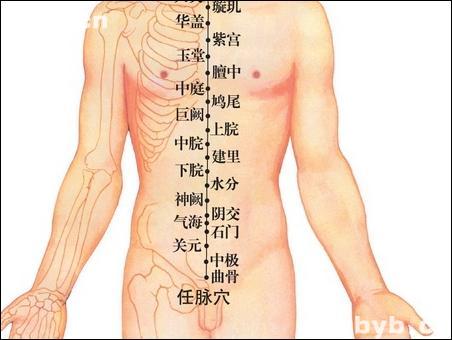 點(diǎn)擊查看鳩尾的大圖
