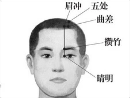 點(diǎn)擊查看攢竹的大圖