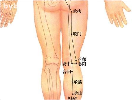 點(diǎn)擊查看委陽(yáng)的大圖