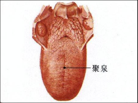 點(diǎn)擊查看聚泉的大圖