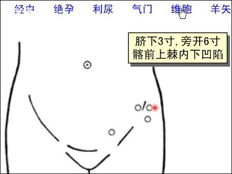 點擊查看維胞的大圖