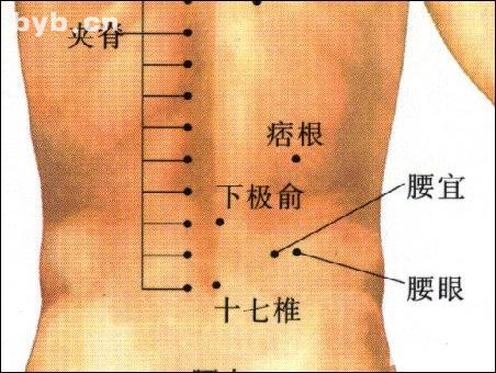 點(diǎn)擊查看十七椎的大圖