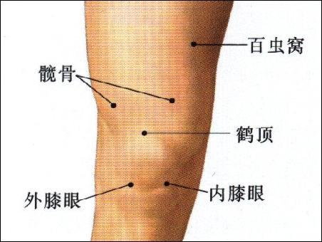 點擊查看百蟲窩的大圖