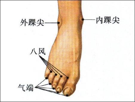 點擊查看外踝尖的大圖