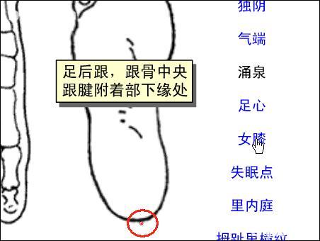 點(diǎn)擊查看女膝的大圖